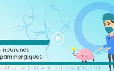 Les neurones dopaminergiques