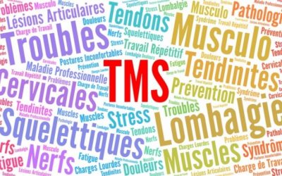 TMS : Poste informatisé