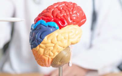 Les syndromes Parkinsoniens