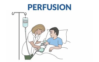 Proposer l&rsquo;activité Perfusion
