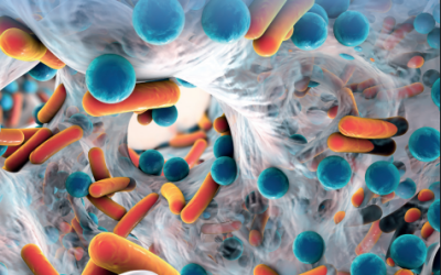 DFC NAD  ATB IV   « De l’étude à la pratique  les solutions NHC »