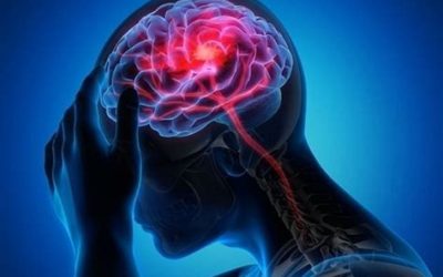 JDFC PARK – PSP  DCB  A la croisée des troubles neurologiques